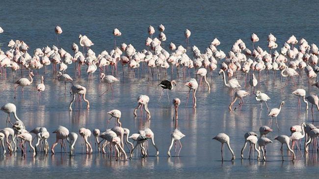 Χωρίς «αναπνοή» οι λίμνες, λιγοστεύει το πόσιμο νερό