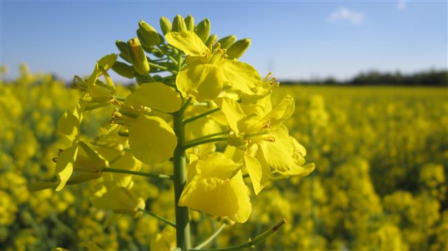Πώς ξεκινάει κάποιος ένα αγρο-οικολογικό κτήμα;
