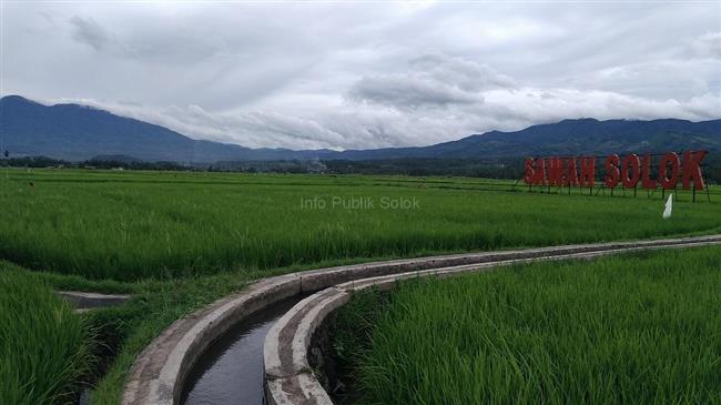 Global food prices rise at rapid pace in May