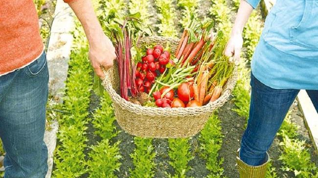 Πέντε στρατηγικές προτεραιότητες για την αγροδιατροφή