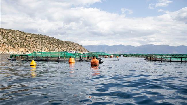 2η Πρόσκληση υποβολής αιτήσεων χρηματοδότησης για την ένταξη στη Δράση 2 του Μέτρου 3.2.11 του ΕΠΑΛΘ