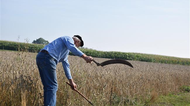 Αγροτικά δάνεια: «Ξεπούλημα» στους servicers καταγγέλλει το ΠΑΣΟΚ