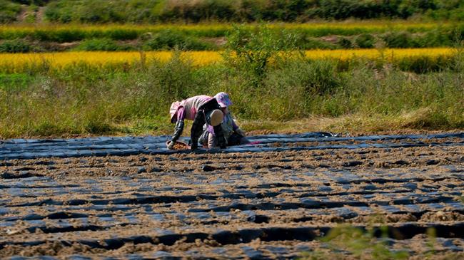 «Νέο χαράτσι για τους αγρότες με τις αυξήσεις στις ασφαλιστικές εισφορές»