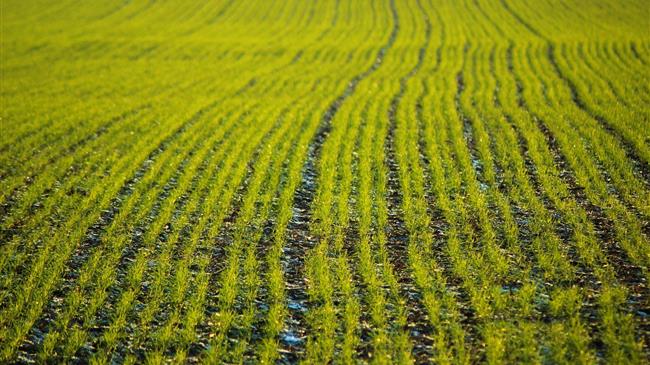 Η Δανική προεδρία και το μέλλον της ΚΑΠ: Απλούστευση και πράσινη μετάβαση στο επίκεντρο