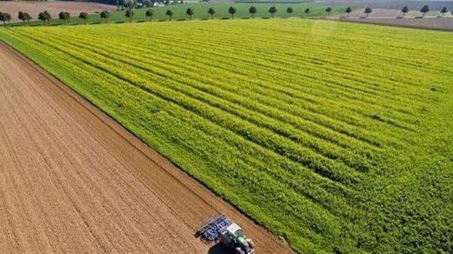 Ουκρανία: Βόμβες και νάρκες που δεν έχουν εκραγεί απειλούν τη γεωργική παραγωγή