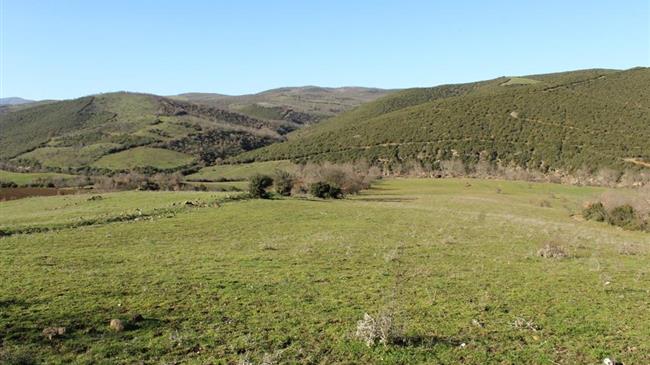 Προχωρά η ωρίμανση του διαγωνισμού για το φράγμα Ενιπέα
