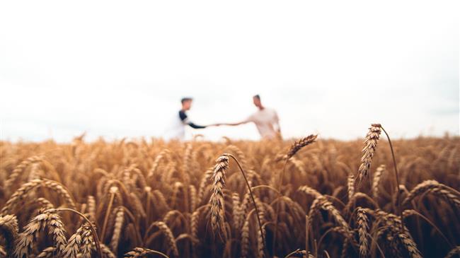 Πώς μπορούν οι αγροτικές επιχειρήσεις να μειώσουν τις περιβαλλοντικές τους επιπτώσεις και το αποτύπωμα άνθρακα