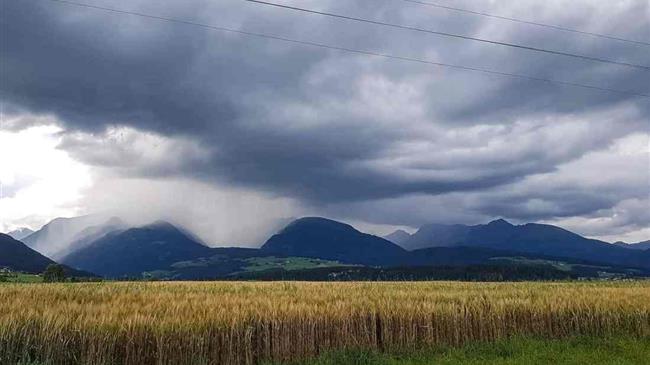 Securing food, protecting biodiversity