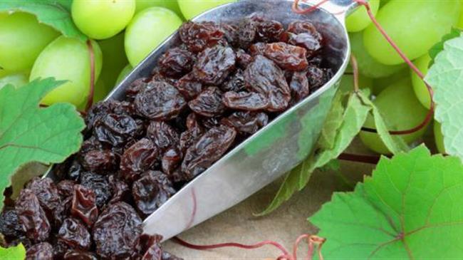 Ανακάμπτει η κορινθιακή σταφίδα: Ενθαρρυντικές ενδείξεις για τη φετινή παραγωγή