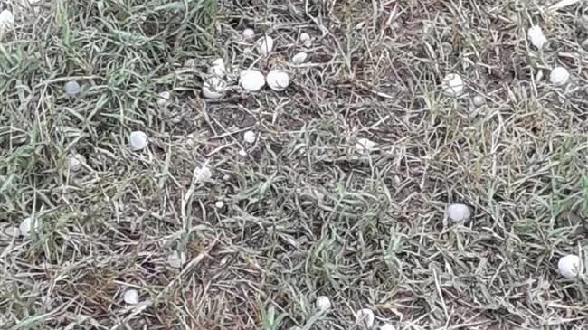 Χαλάζι και προβλήματα στην Ξάνθη: Μετρούν τις πληγές τους οι αγρότες