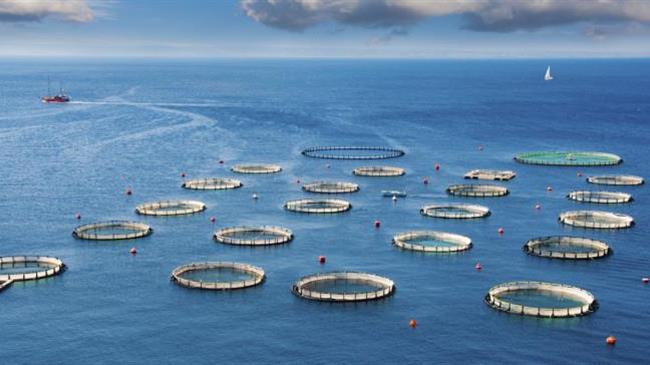 Συμμετοχή της ΕΛΟΠΥ σε συνέδριο υδατοκαλλιέργειας και αλιείας στη Νορβηγία