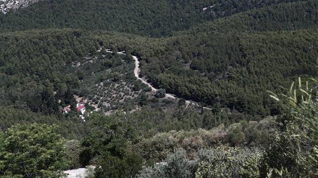 Ισχυρό πλέγμα μέτρων προστασίας για τον Υμηττό