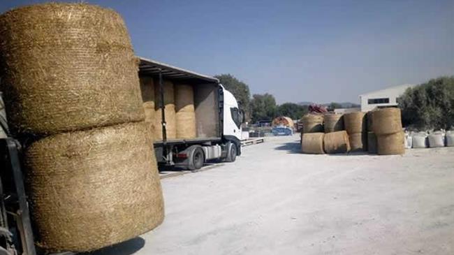 Στήριξη και αποζημιώσεις ζητά ο Βασίλης Κόκκαλης για τους παραγωγούς χορτονομών και ζωοτροφών