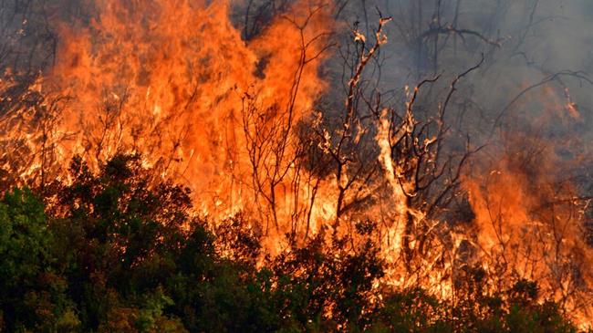 Απορρόφηση ευρωπαϊκών κονδυλίων για την πρόληψη και την αντιμετώπιση των πυρκαγιών στην Ελλάδα