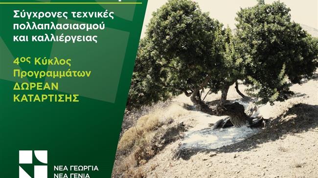 Δωρεάν πρόγραμμα κατάρτισης στις τεχνικές καλλιέργειας μαστιχόδεντρων