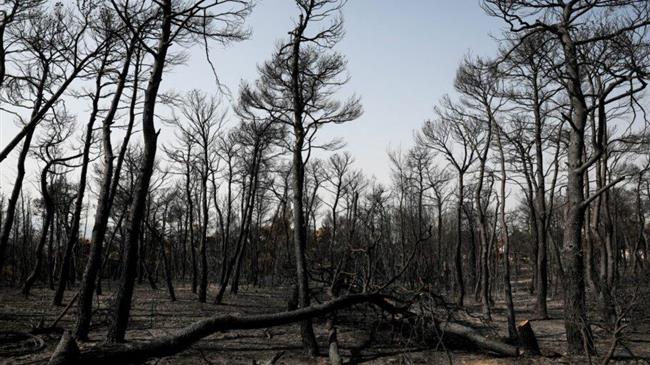 Οι καμένες εκτάσεις καταγράφουν μεγάλη αύξηση περίπου 450%