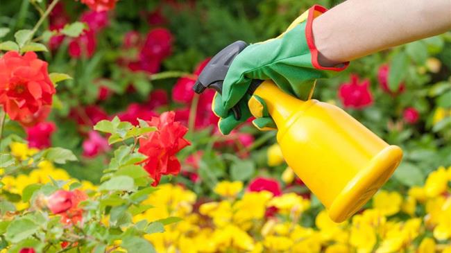 Έρευνα για τα φυτοφάρμακα