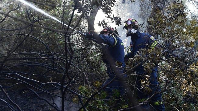 Ξανθόπουλος (ΕΛΓΟ ΔΗΜΗΤΡΑ): Έλλειψη σχεδιασμού και επιχειρησιακά λάθη