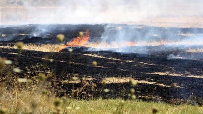 Σήμερα Μ. Πέμπτη οι αποζημιώσεις ΕΛΓΑ για περσινές φωτιές