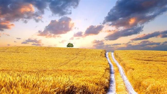 ΕΕ: Εκπομπές από τον γεωργικό τομέα