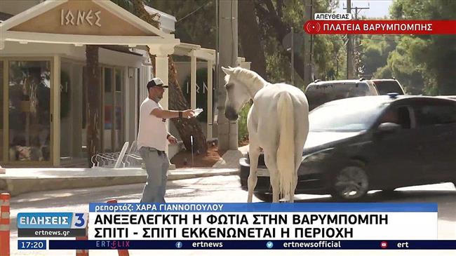 Φωτιά στη Βαρυμπόμπη: Άλογα βγήκαν από τους ομίλους και τρέχουν να σωθούν