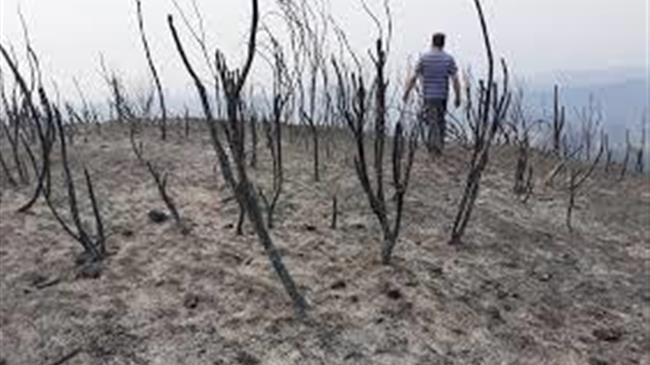 Άμεσα μέτρα στήριξης των πυρόπληκτων του Πρωτογενούς Τομέα στην Περιφέρεια Στερεάς Ελλάδας