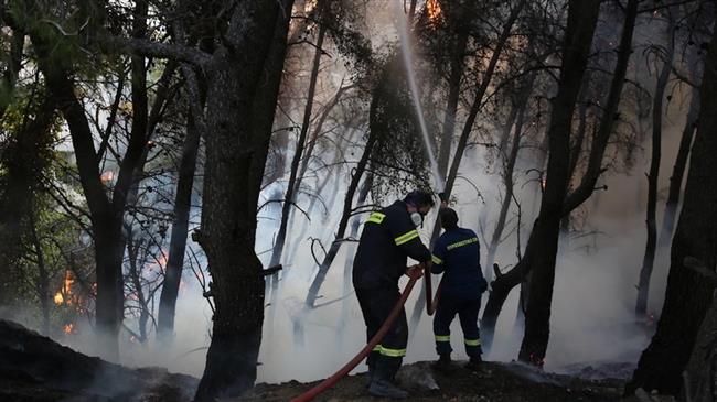 «Τι πρέπει να γίνει μετά τις πυρκαγιές» σύμφωνα με το τμήμα Δασολογίας και Φυσικού Περιβάλλοντος του ΑΠΘ