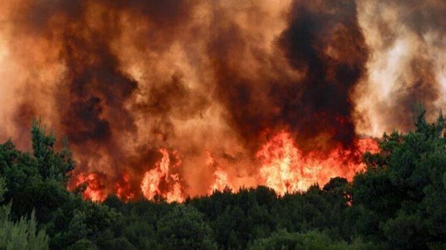 Δηλώσεις μελών ΔΣ ΠΟΓΕΔΥ για τις πυρκαγιές