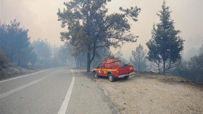 Κλιμάκιο του ΕΛΓΑ στη Ρόδο - αποτίμηση ζημιών σε ελιές, αμπέλια, μελίσσια και ζώα