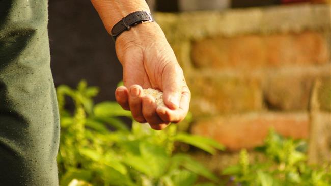 FAO at forefront of global efforts to build partnership between agri-food systems and conservation