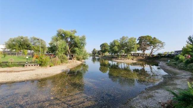 Στέρεψε η λίμνη Γκιτζή στα Τρίκαλα από τη ζέστη - Νεκρά τα ψάρια