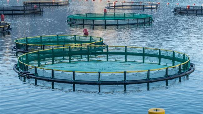 «Παραγωγικές Επενδύσεις στην Υδατοκαλλιέργεια»