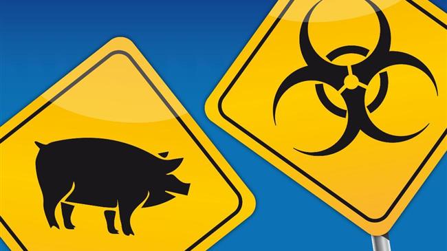 Αφρικανική πανώλη