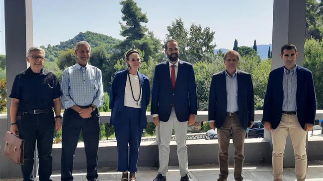 Ανασύσταση των ελαιώνων στον Δήμο Αρχαίας Ολυμπίας