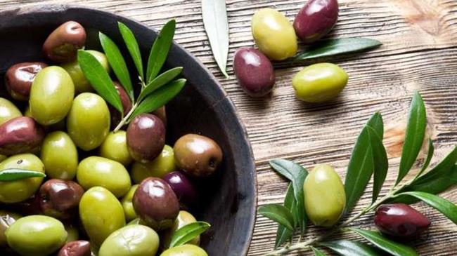 Η Αρχαία Ελληνική διατροφή στο Πανεπιστήμιο του Γέιλ