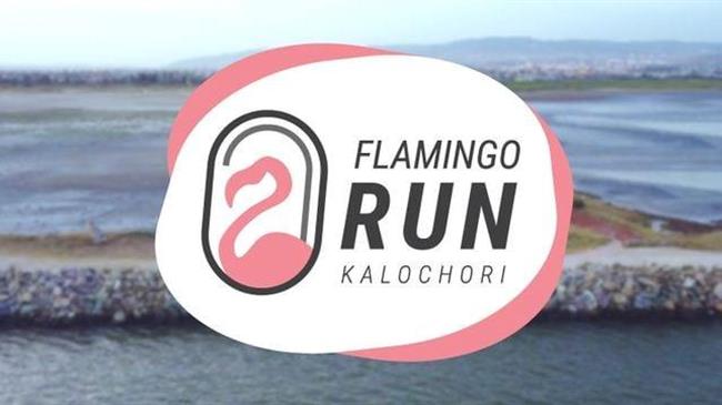H Περιφέρεια Κεντρικής Μακεδονίας τρέχει στο 1ο Flamingo Run!