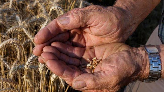Οι εξαγωγές αγροδιατροφικών προϊόντων της ΕΕ αυξήθηκαν κατά 3% τον Φεβρουάριο στα 19,6 δισ. ευρώ