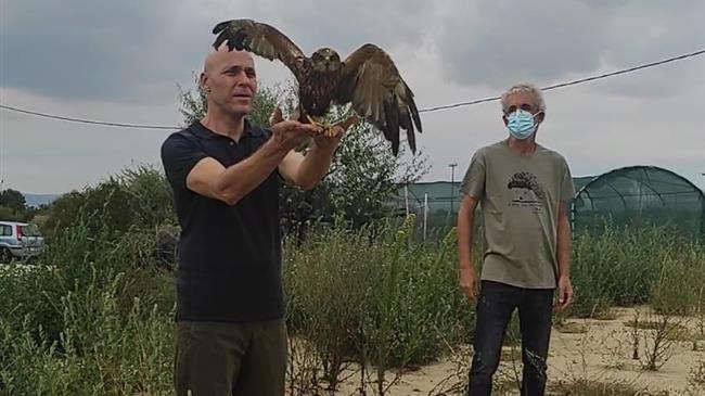 Προοπτική δημιουργίας Νοσοκομείου Περίθαλψης Άγριας Ζωής στη Θεσσαλονiκη