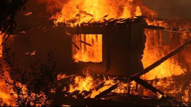 Επιχορήγηση αγροτικών εκμεταλλεύσεων πυρόπληκτων αγροτών