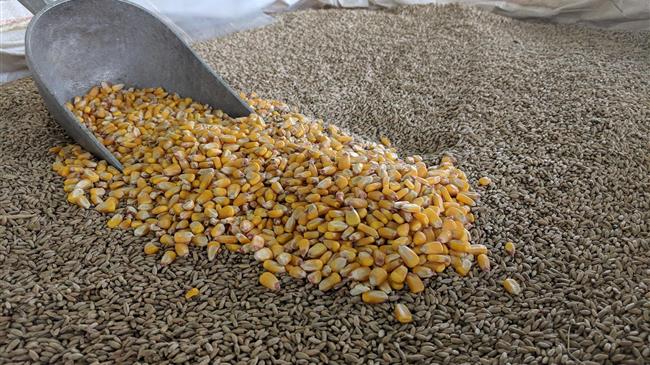 Ουκρανία: Οι εξαγωγές αγροτικών προϊόντων αυξήθηκαν κατά 80% τον Μάιο