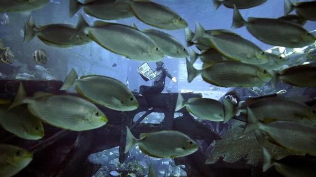 Ecoscope: Το online πρόγραμμα του ΑΠΘ για την παρατήρηση των θαλάσσιων οικοσυστημάτων