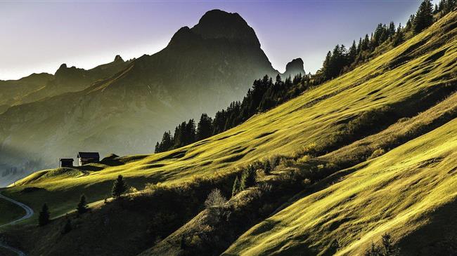 Σε κίνδυνο για εξαφάνιση σχεδόν το ένα στα τρία είδη δέντρων της Γης