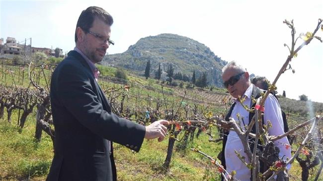 Χιλιάδες στρέμματα αμπέλια “κάηκαν” από τους καύσωνες