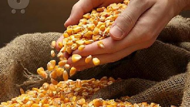 Δήλωση παραγωγής και διακίνησης ζωοτροφών για το έτος 2021