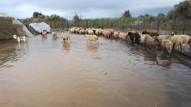 Την Αιτωλοακαρνανία επισκέπτεται ο Σπήλιος Λιβανός - Μεγάλες οι ζημιές από την κακοκαιρία