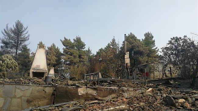 Δασικοί Χάρτες: Στα σκαριά η ρύθμιση για τους δασωμένους αγρούς