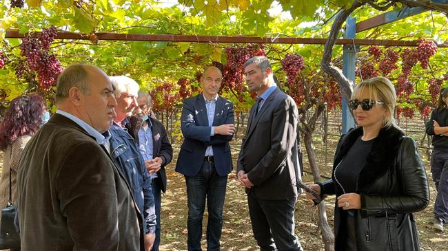 Ο αντιπρόεδρος του ΕΛΓΑ Νίκος Δούκας στις πληγείσες καλλιέργειες σταφυλιών Crimson