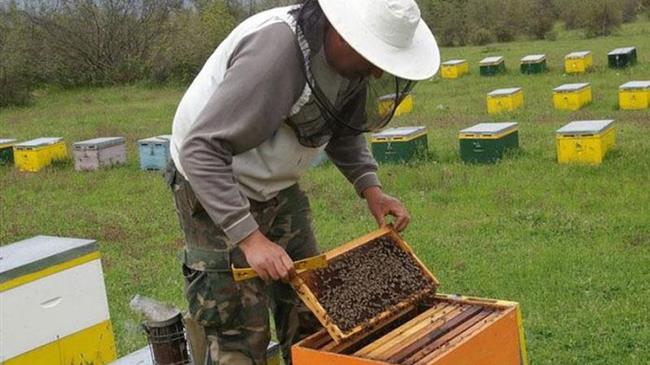 12.000.000 € ενίσχυση στους Μελισσοκόμους για την αντιμετώπιση των επιπτώσεων από την Ουκρανική κρίση
