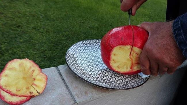 Ρόδι-γίγας σχεδόν δυο κιλά στη Λάρισα