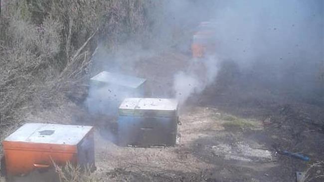 Αποζημιώσεις για την κατεστραμμένη μελισσοπαραγωγή στην Εύβοια